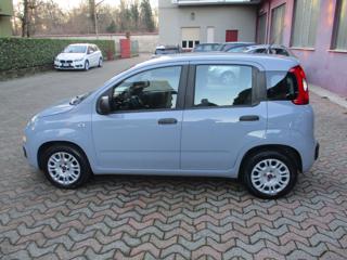 FIAT Panda usata, con Airbag Passeggero