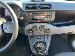 FIAT Panda usata 11
