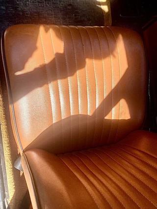FIAT 500 usata 16