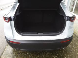 MAZDA CX-30 usata, con Immobilizzatore elettronico