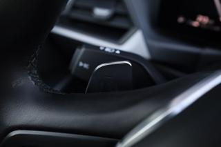 BMW 316 usata, con Bracciolo