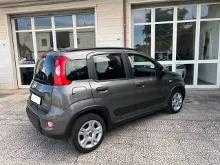 FIAT Panda usata 22