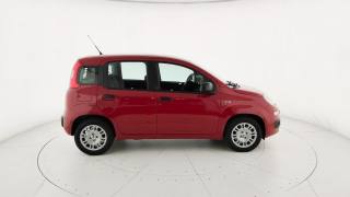 FIAT Pandina usata, con Controllo trazione