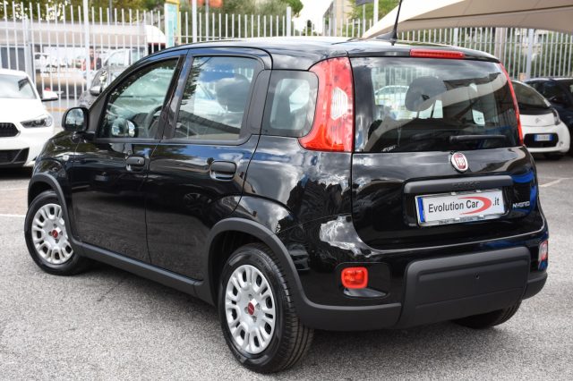 FIAT Panda usata, con Alzacristalli elettrici