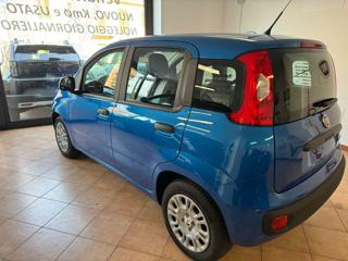 FIAT Pandina usata, con Airbag Passeggero