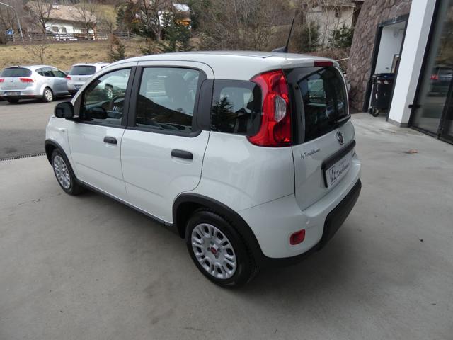 FIAT Panda usata, con Alzacristalli elettrici