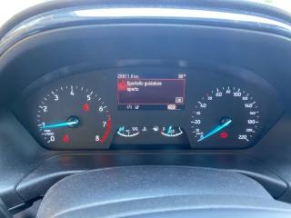 FORD Puma usata, con Controllo trazione