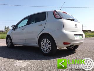 FIAT Punto usata, con Airbag testa