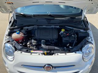 FIAT 500 usata 27