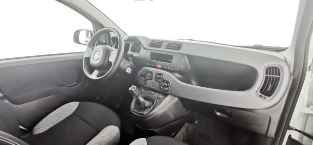 FIAT Panda usata 48