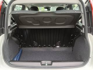 FIAT Panda usata, con USB