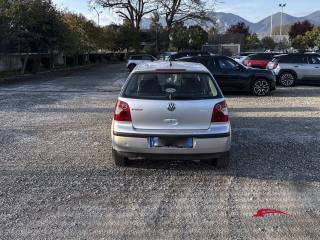 VOLKSWAGEN Polo usata 3