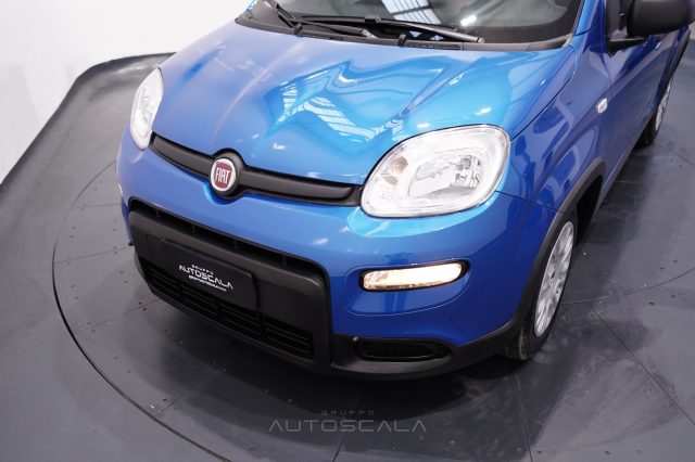 FIAT Panda usata 23