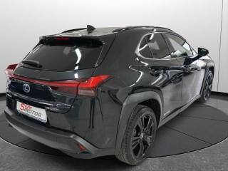 LEXUS UX 250h usata, con Airbag