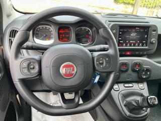 FIAT Panda Cross usata, con Servosterzo