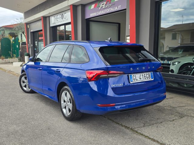 SKODA Octavia usata 104