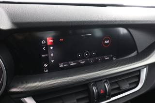 ALFA ROMEO Stelvio usata 10
