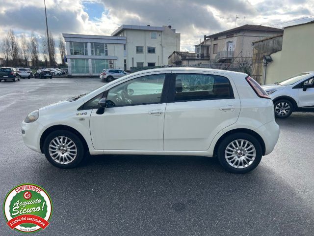 FIAT Punto usata, con Cronologia tagliandi