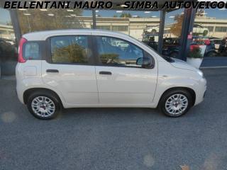 FIAT Panda usata, con ESP