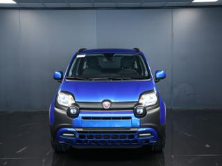 FIAT Panda Cross usata, con Airbag