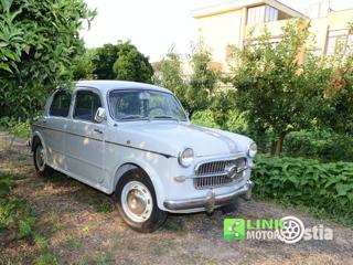 FIAT 1100 usata 44