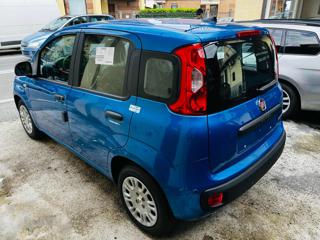 FIAT Panda usata, con Boardcomputer