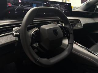 PEUGEOT 3008 usata, con Vivavoce