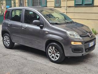 FIAT Panda usata, con Fendinebbia