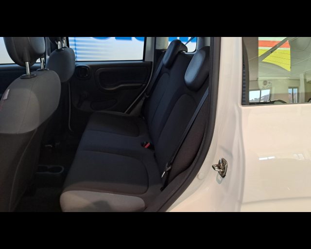 FIAT New Panda usata 19