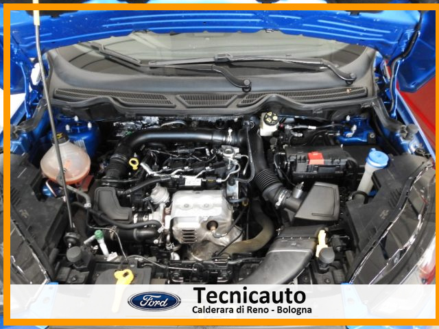 FORD EcoSport usata, con Frenata d