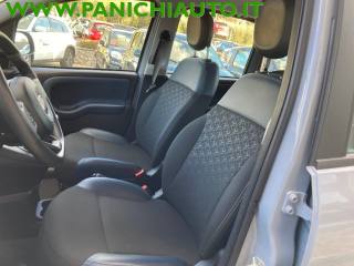 FIAT Panda Cross usata, con Controllo trazione