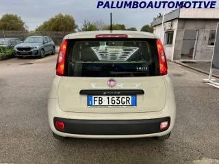 FIAT Panda usata, con Chiusura centralizzata