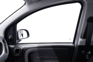 FIAT New Panda usata 18