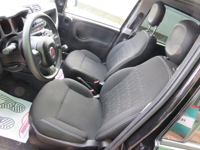 FIAT Panda usata 19