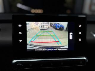 CITROEN C4 Cactus usata, con Controllo vocale