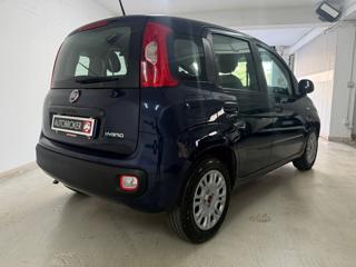 FIAT Panda usata, con Airbag Passeggero