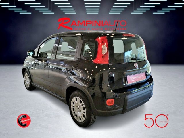 FIAT Panda usata 8