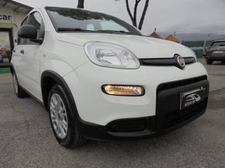 FIAT Panda usata 17