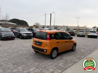 FIAT Panda usata, con Controllo trazione