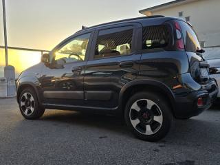 FIAT Panda Cross usata, con ESP