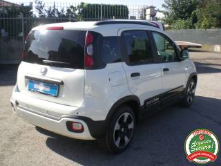 FIAT Panda usata, con Cruise Control