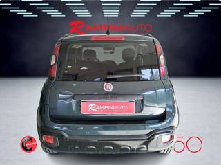 FIAT Panda usata 7