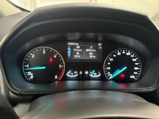 FORD EcoSport usata, con Cruise Control