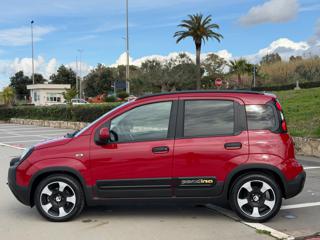 FIAT Panda Cross usata, con Alzacristalli elettrici
