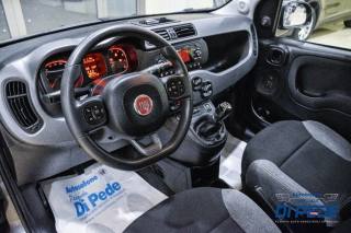 FIAT Panda usata 22