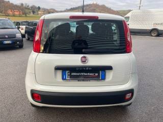 FIAT Panda usata, con Chiusura centralizzata