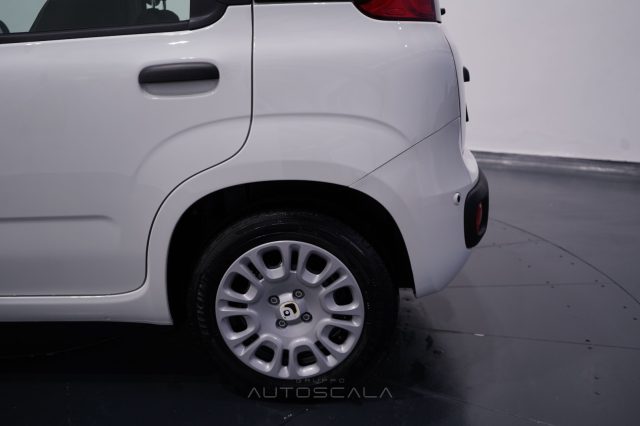 FIAT New Panda usata 22