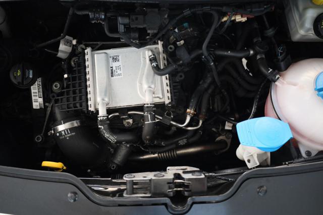 VOLKSWAGEN California usata 61