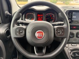 FIAT Panda usata, con Immobilizzatore elettronico