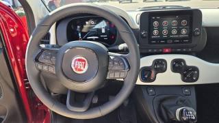 FIAT Panda usata, con Volante in pelle